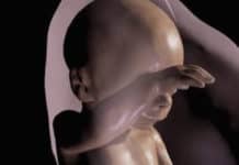 Virtual Reality Creates 3D View of Babies in the Womb
