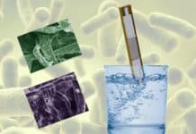 Sugar-Laced Paper Kills E. Coli in Drinking Water