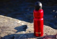 Women Who Reduce BPA Exposure Lose More Weight: Study