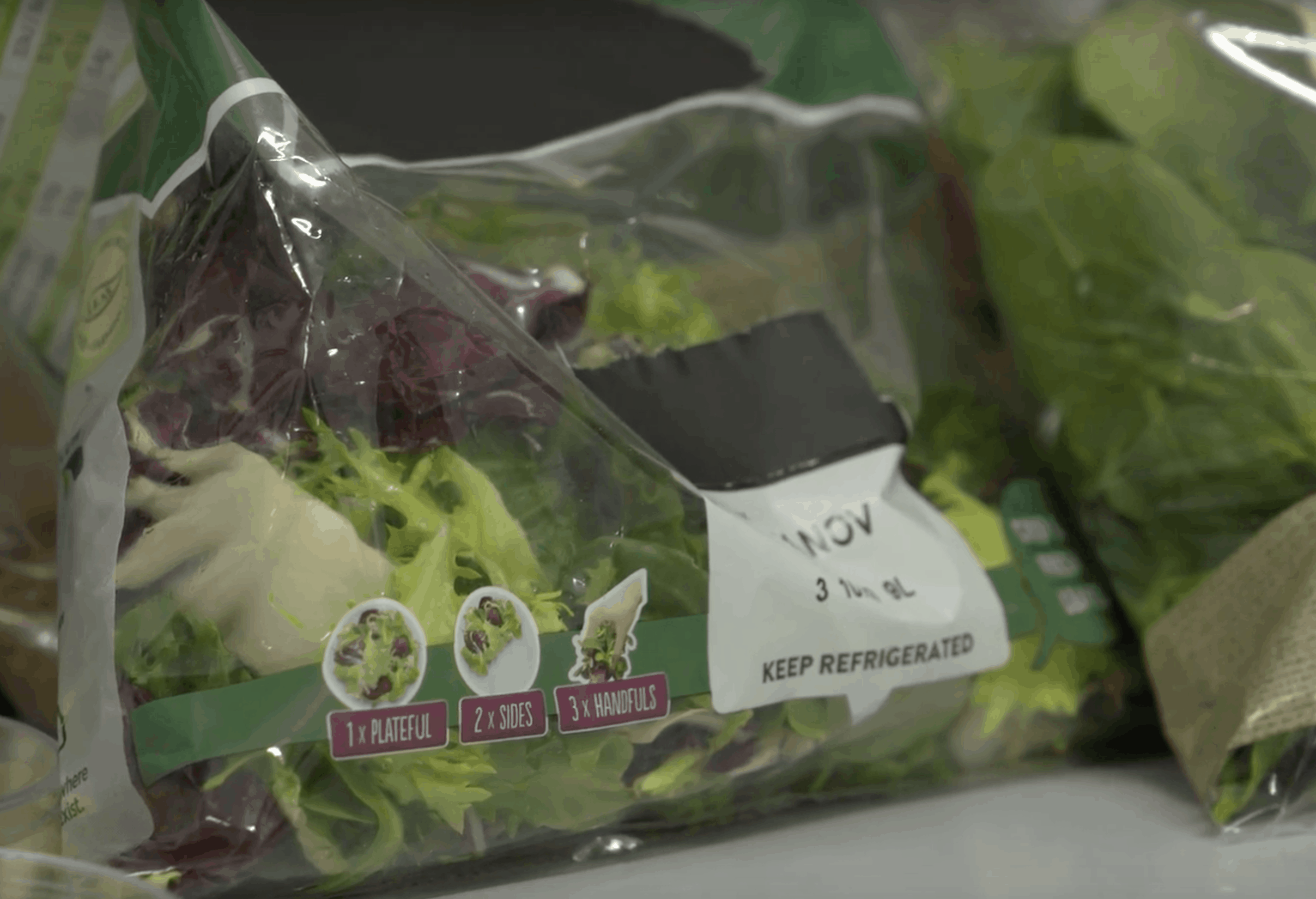 Bagged Salads Could Be a Breeding Ground for Salmonella