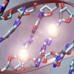 screen-shot-2016-11-21-at-3-23-41-pm