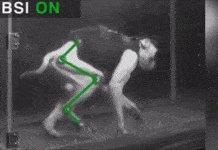 Wireless Brain Implant Helps Paralyzed Monkeys to Walk Again