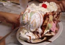 The Diet Rollercoaster Explained