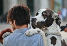 The Role Pets Play in Managing Our Mental Health