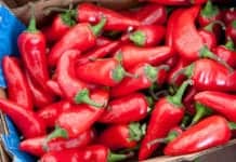 Eating This Spicy Ingredient May Help to Fight Breast Cancer