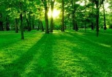 5 Images That May Instantly Calm You