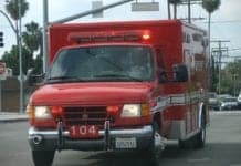 New Study May Explain Mysterious Spike in Holiday Deaths