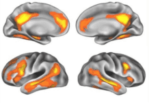 Pregnancy Has Long-Lasting Impact on a Woman’s Brain: Study