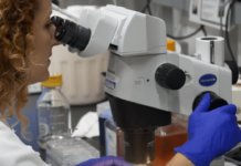 Groundbreaking Study Could Lead to Age Reversal Treatments