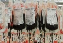 Artificial Blood Powder Could One Day Save Lives