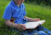 New Research Shows Distinctive Brain Pattern Linked to Dyslexia