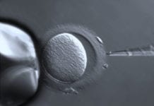 Three-Person Babies May Become a Reality in the UK