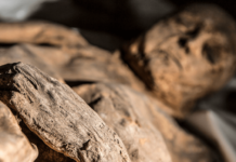 Mummy Discovery Could Rewrite History of Smallpox