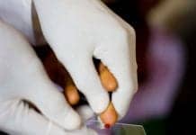 New Blood Test Can Reveal Just How Well You’re Aging