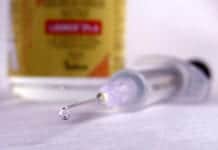 Promising Alzheimer’s Vaccine Moves Closer to Human Trials