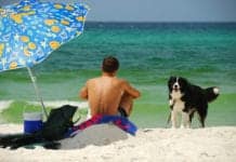 Going ‘Umbrella Chic’ at the Beach Won’t Prevent You from Getting a Sunburn