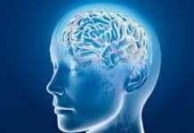 Brain Thickness May Determine Key Parts of Your Personality