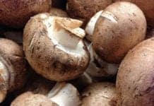 More Mushrooms in Your Diet May Help to Prevent Alzheimer’s: Study