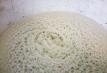 Enzyme Found in Baker’s Yeast Could Help Treat Leukemia