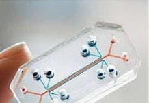 New Microchip Technology Could End Animal Testing Forever