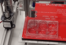 File, Print, Wear: New 3D Bioprinter Creates Human Skin