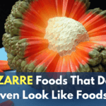 7 BIZARRE Foods That Don’tEven Look Like Foods