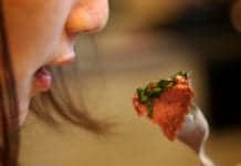 Eating Less May Contribute to Living Longer