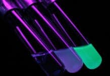 Killer ‘Smart Bacteria’ Found to Wreak Havoc on the Gut