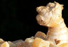 Ginger: The Superfood You’re Probably Not Eating Enough