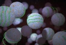 High Levels of This Inherited Protein May Cause Heart Attack, Stroke