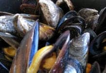 Study Says You’re Probably Eating Plastic When You Order Seafood