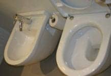 Potty Protocol: Bidets May Improve Our Health and the Environment