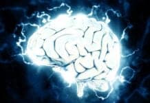 Brain Buzz: A Shot of Electricity May Boost Your Memory