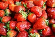 Try These 7 Foods for Healthy, Glowing Skin