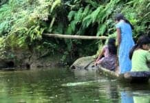 This Amazon Tribe Has the Healthiest Hearts in the World, Experts Say
