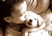Your Household Pet Could Keep Your Child Healthy