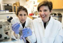 3D-Printed Patch Can Heal Hearts