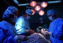 Sex, Weight Mismatches May Lead to Organ Transplant Failures
