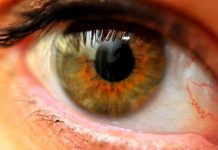 Walking Could Keep Our Eyes Sharp As We Age