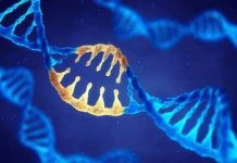 Scientists Have Removed HIV from the Genes of Infected Mice