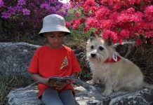 Pet Dogs Help Children Feel Less Stressed