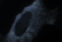 Scientists Can Now See Cancer ‘Glowing’ Within the Body