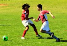 Could Playing Soccer Give You Better Eyesight?