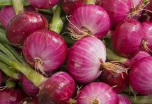 Could Red Onions Be Used to Prevent Cancer?