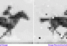 Scientists Load Horse GIF Onto Living Cells