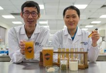 Scientists Brew Probiotic Beer That’s Actually Good for You