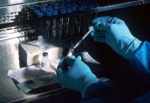 Cancer Treatment May Be Revolutionized Through Personalized Vaccines