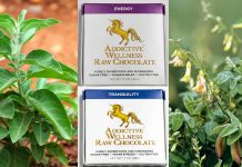 The Science Behind the Chocolates That Combat Fatigue and Stress