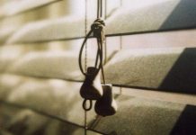 Could Household Dust Be Contributing to Obesity?