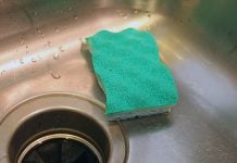 Why You Don’t Want to Clean That Filthy Kitchen Sponge